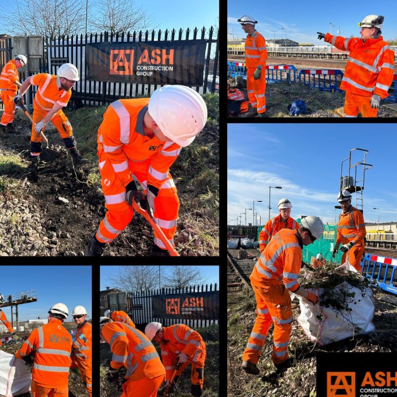 De-Vegetation Project - ASH Construction Group Ltd news